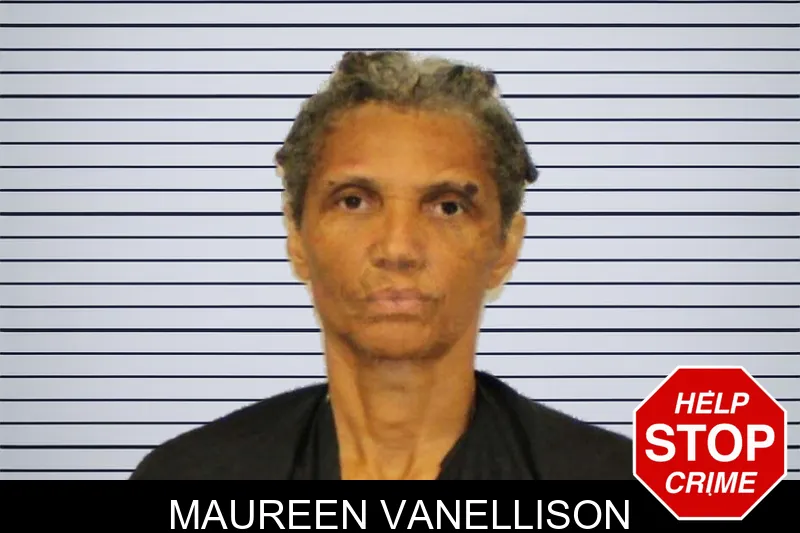 Maureen Vanellison mugshot – Carroll County , Georgia Maureen Vanellison mugshot