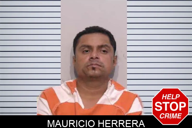 Mauricio Herrera mugshot – Bartow County , Georgia Mauricio Herrera mugshot