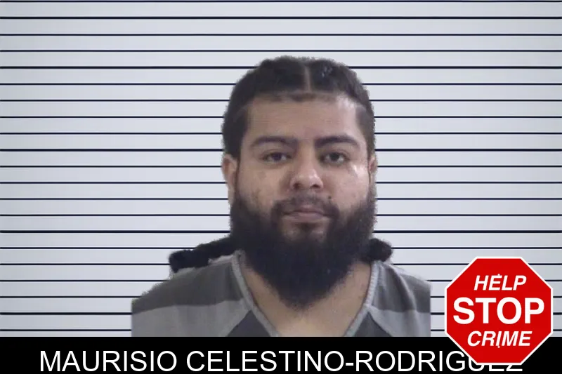 Maurisio Celestino-Rodriguez mugshot – Whitfield County , Georgia Maurisio Celestino-Rodriguez mugshot