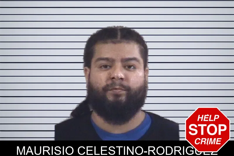 Maurisio Celestino-Rodriguez mugshot – Whitfield County , Georgia Maurisio Celestino-Rodriguez mugshot