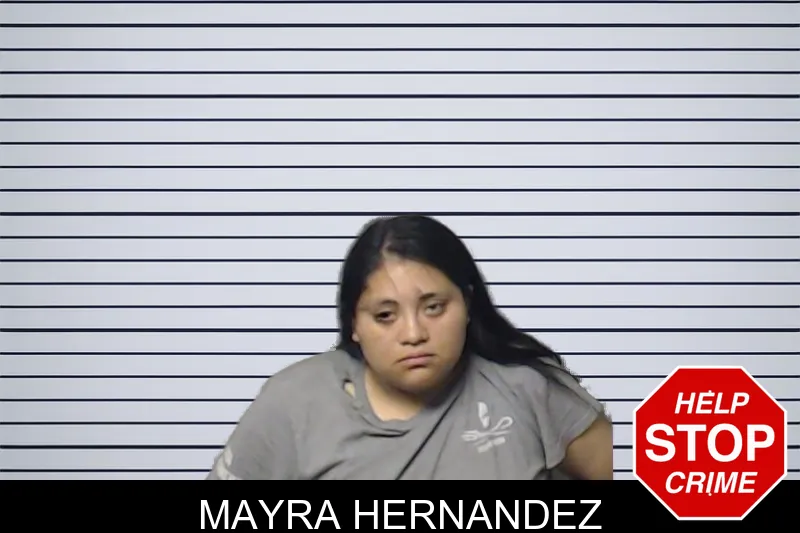 Mayra Hernandez mugshot