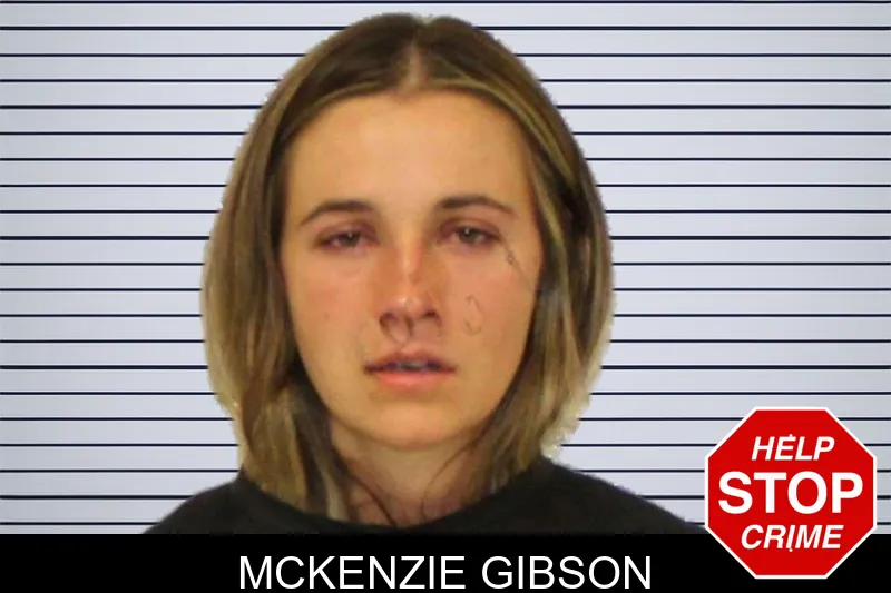 McKenzie Gibson mugshot