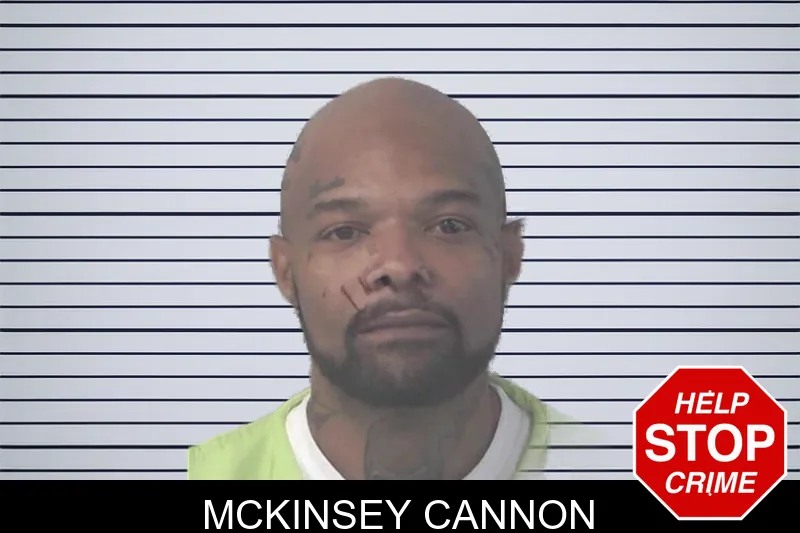 McKinsey Cannon mugshot – Newton County , Georgia McKinsey Cannon mugshot