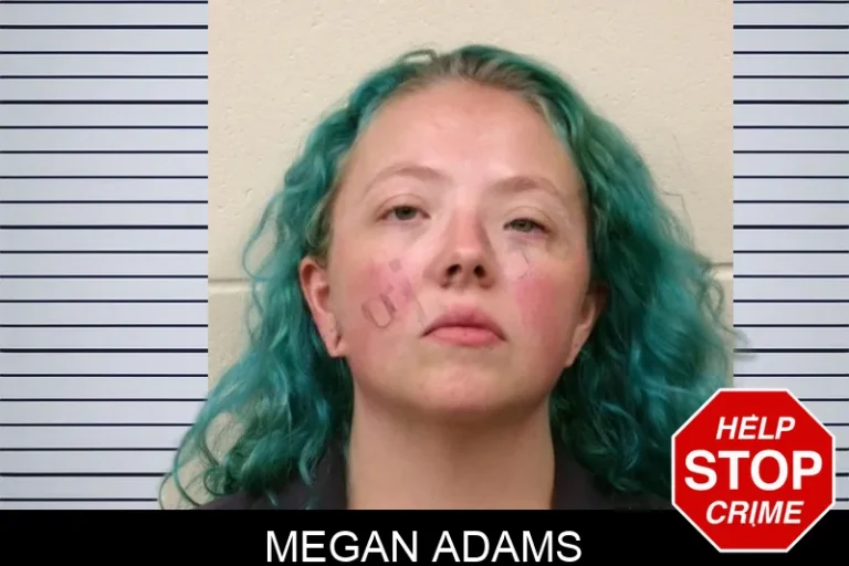 Megan Adams mugshot – Bulloch County , Georgia Megan Adams