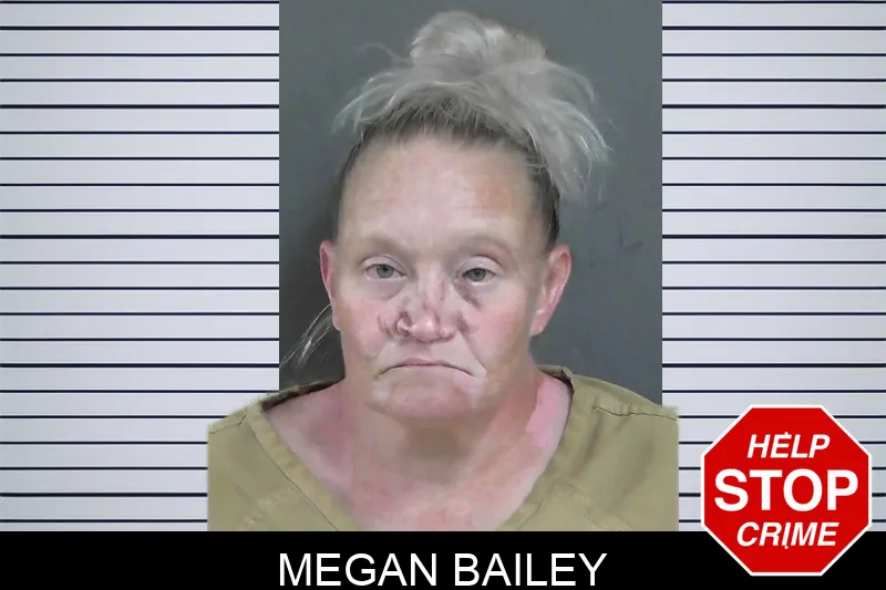 Megan Bailey mugshot – Gordon County , Georgia Megan Bailey mugshot
