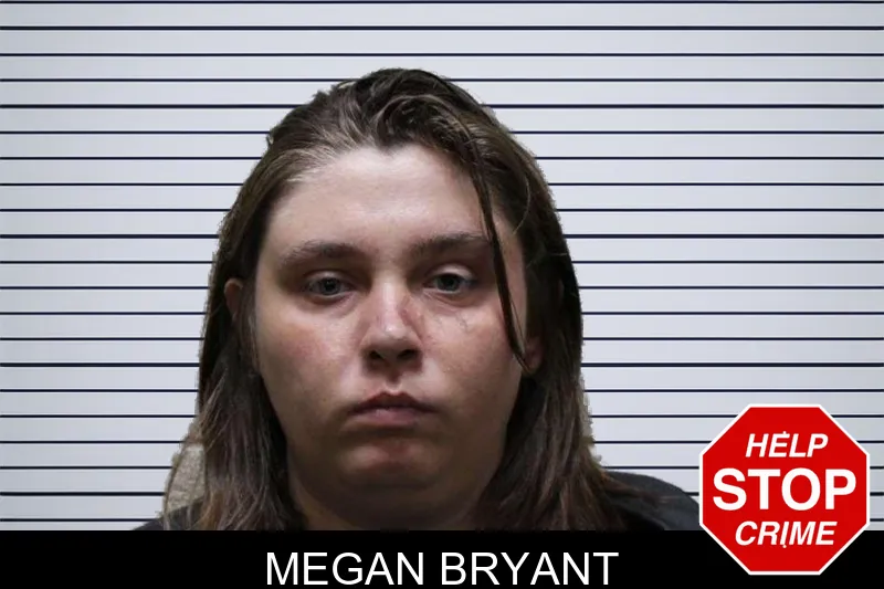 Megan Bryant mugshot