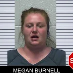 Megan Burnell mugshot – Gilmer County , Georgia Megan Burnell mugshot