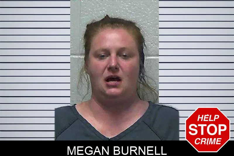 Megan Burnell mugshot – Gilmer County , Georgia Megan Burnell mugshot