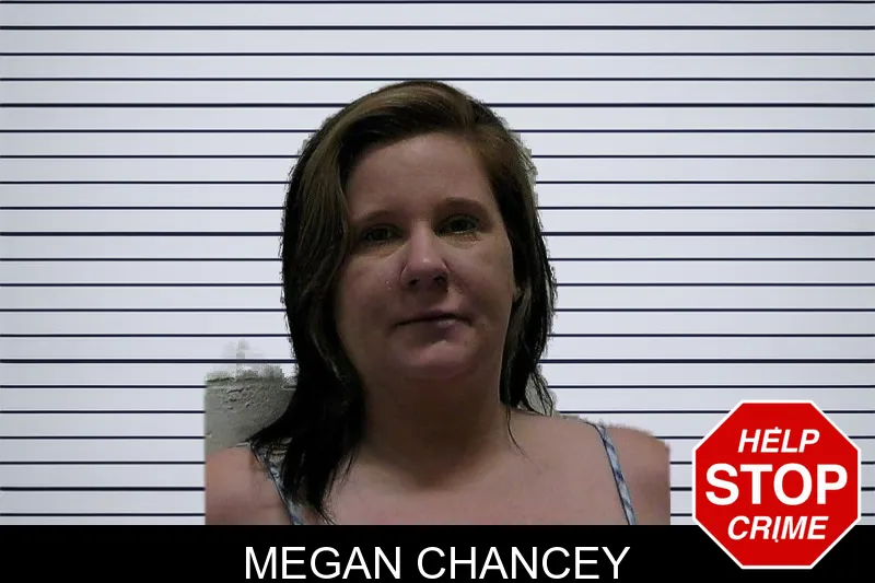 Megan Chancey mugshot – Pierce County , Georgia Megan Chancey mugshot