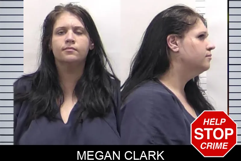 Megan Clark mugshot – Clarke County , Georgia Megan Clark mugshot