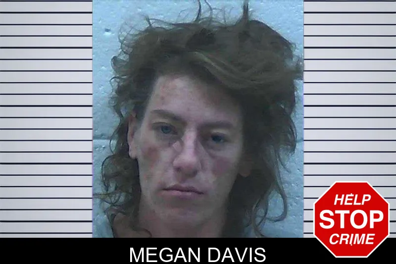 Megan Davis mugshot – Jackson County , Georgia Megan Davis mugshot