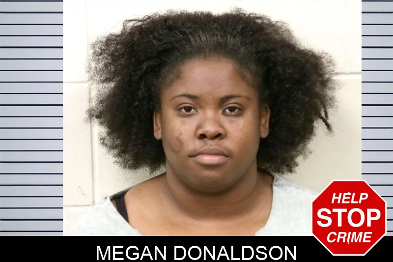 Megan Donaldson mugshot – Bulloch County , Georgia Megan Donaldson mugshot