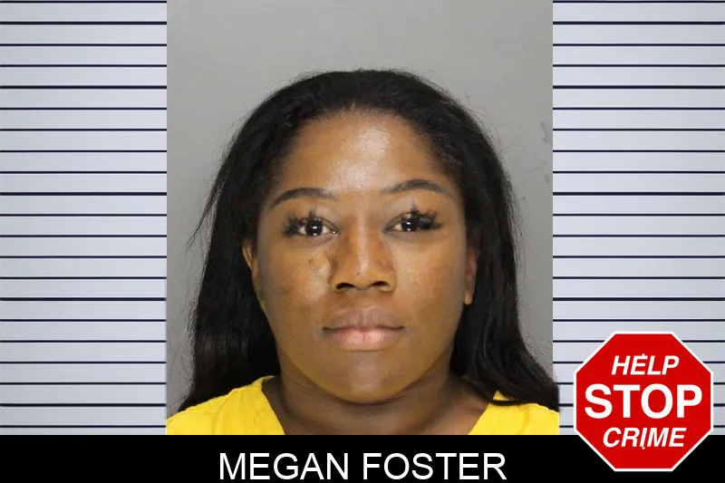 Megan Foster mugshot – Cobb County , Georgia Megan Foster mugshot