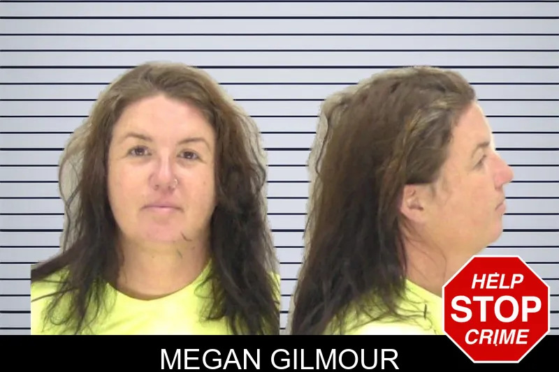 Megan Gilmour mugshot