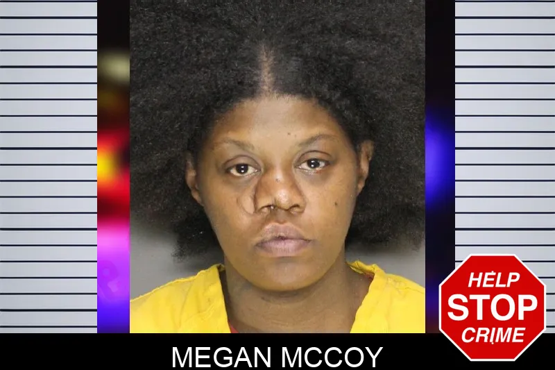 Megan McCoy mugshot – Cobb County , Georgia Megan McCoy mugshot