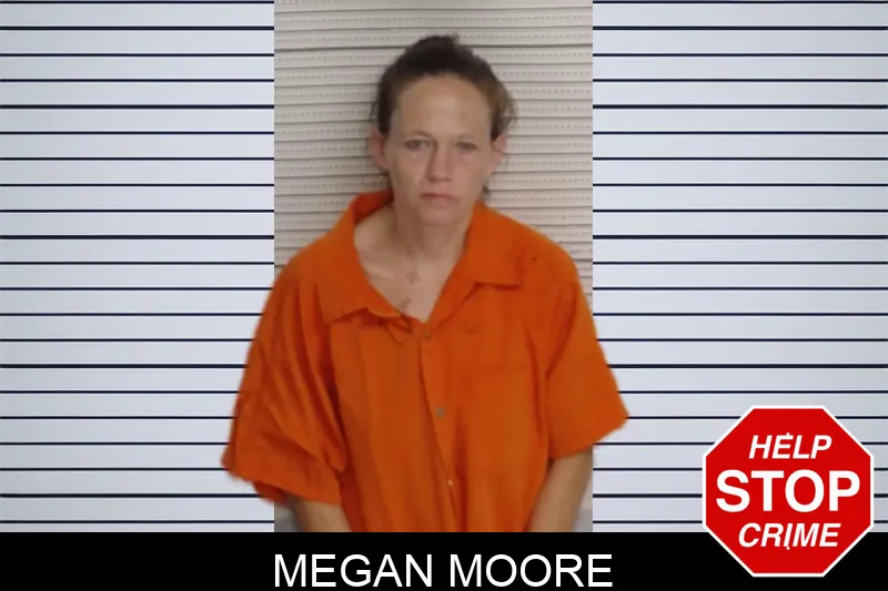 Megan Moore mugshot – Rockdale County , Georgia Megan Moore mugshot