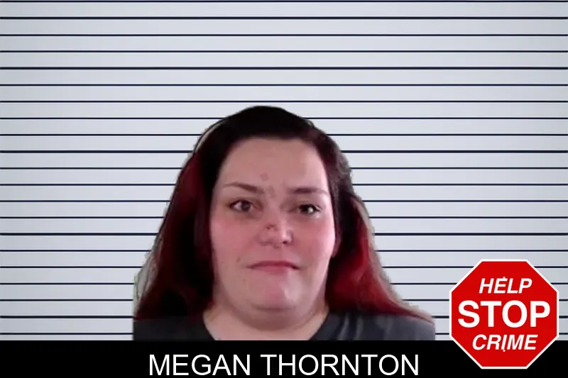 Megan Thornton mugshot – Liberty County , Georgia Megan Thornton mugshot