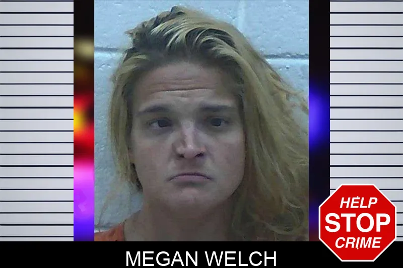 Megan Welch mugshot – Jackson County , Georgia Megan Welch mugshot