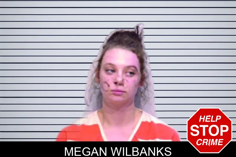 Megan Wilbanks mugshot