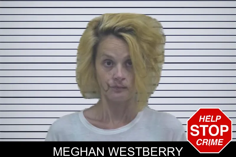 Meghan Westberry mugshot