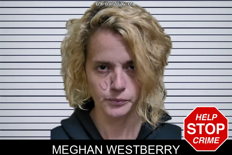 Meghan Westberry mugshot – Montgomery County , Georgia Meghan Westberry mugshot