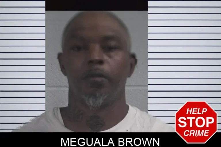 Meguala Brown mugshot – McDuffie County , Georgia Meguala Brown