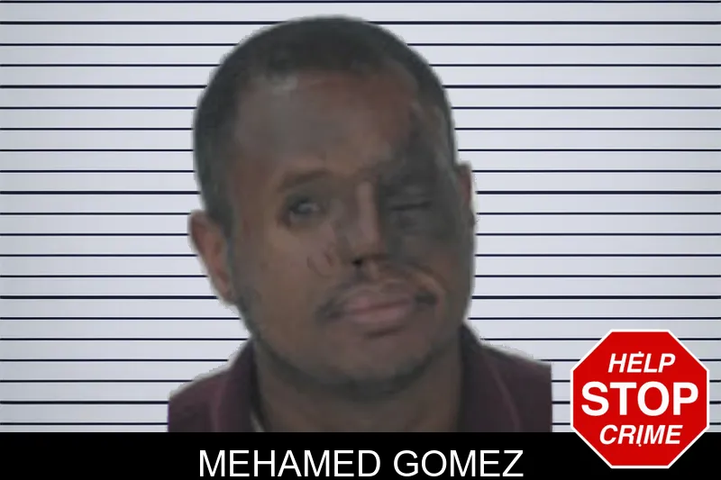 Mehamed Gomez mugshot