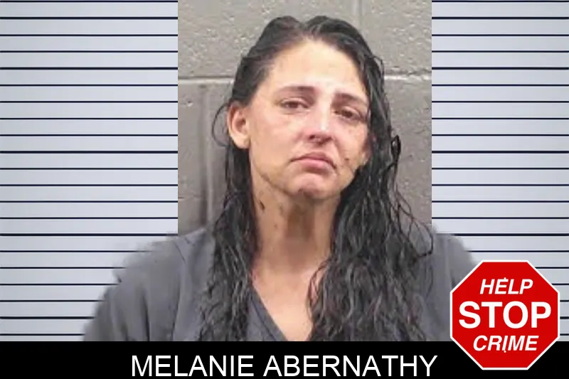 Melanie Abernathy mugshot – Banks County , Georgia Melanie Abernathy mugshot