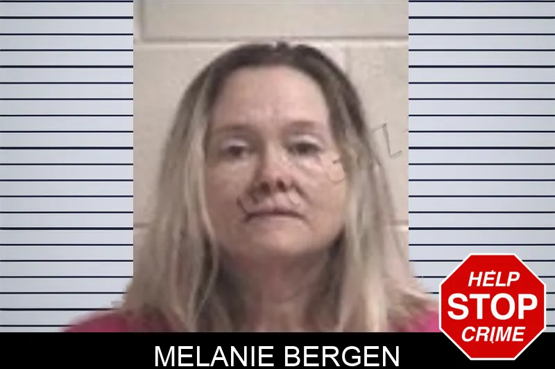 Melanie Bergen mugshot – Henry County , Georgia Melanie Bergen mugshot