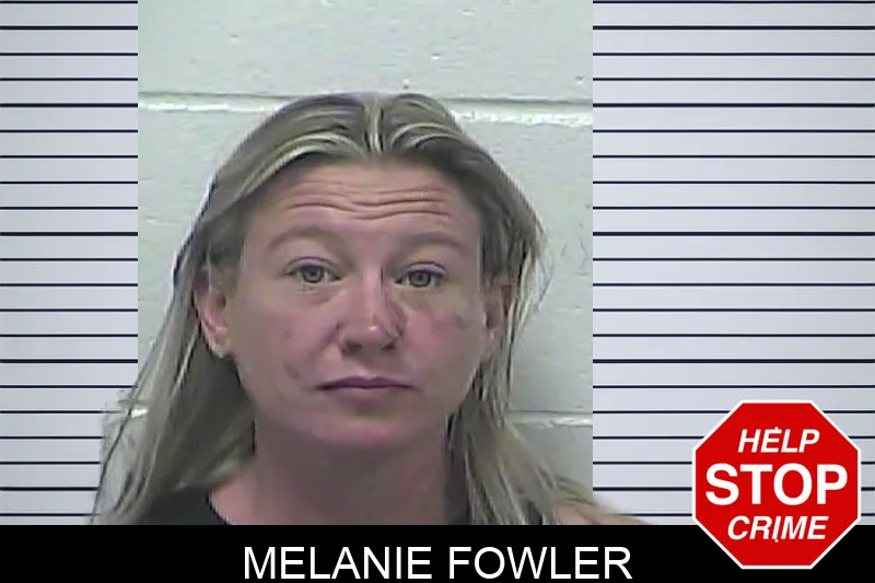 Melanie Fowler mugshot – Dawson County , Georgia Melanie Fowler mugshot