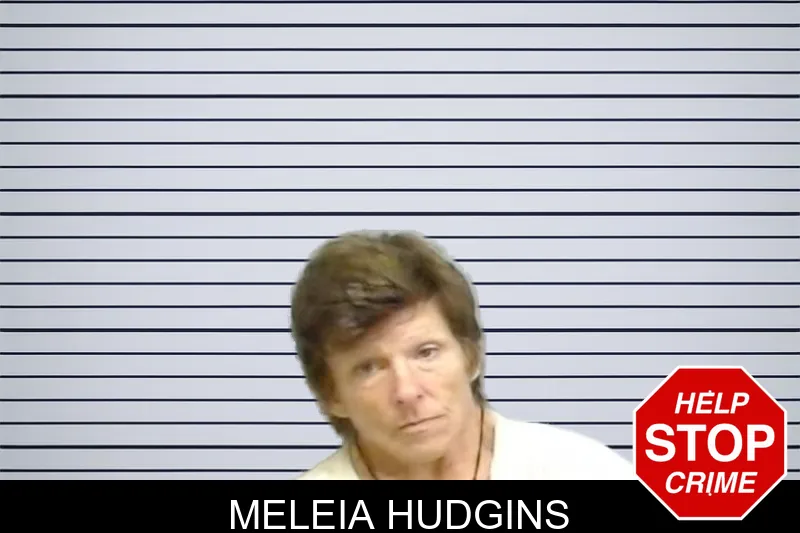 Meleia Hudgins mugshot – Fulton County , Georgia Meleia Hudgins mugshot