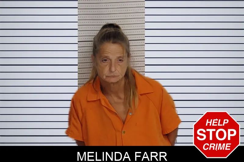 Melinda Farr mugshot – Rockdale County , Georgia Melinda Farr mugshot