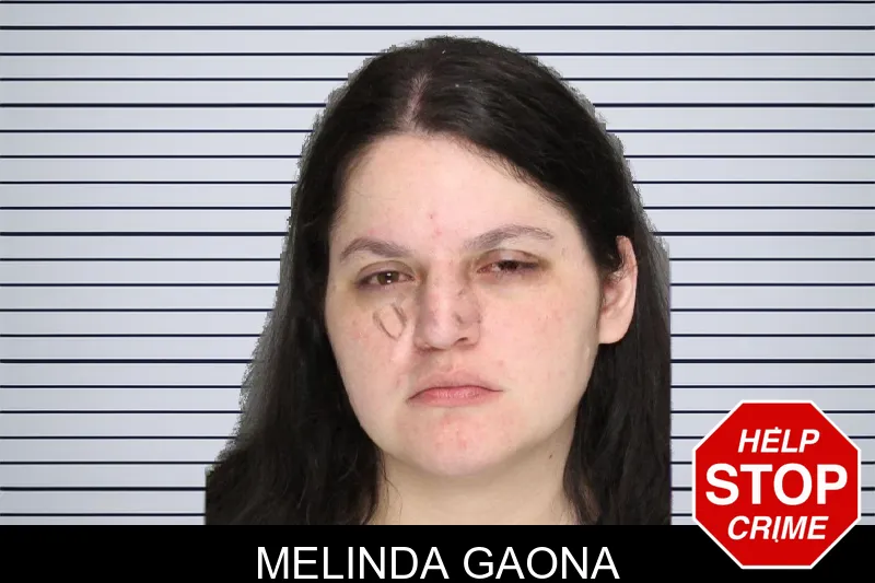 Melinda Gaona mugshot