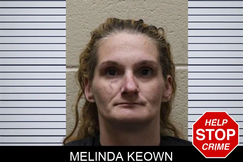 Melinda Keown mugshot – Haralson County , Georgia Melinda Keown mugshot