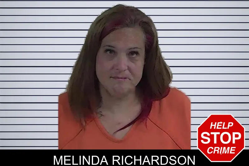 Melinda Richardson mugshot – Fannin County , Georgia Melinda Richardson mugshot