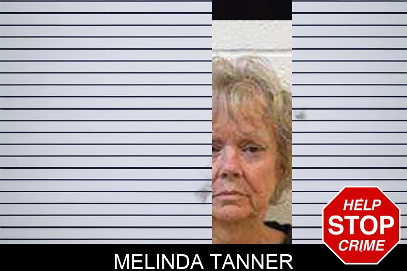 Melinda Tanner mugshot – Polk County , Georgia Melinda Tanner mugshot