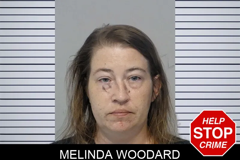 Melinda Woodard mugshot – Bibb County , Georgia Melinda Woodard mugshot