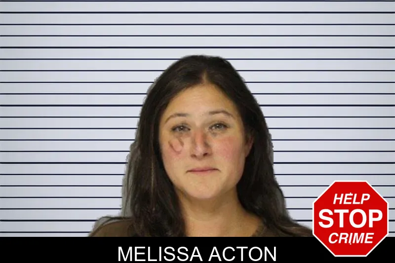 Melissa Acton mugshot – Hall County , Georgia Melissa Acton mugshot