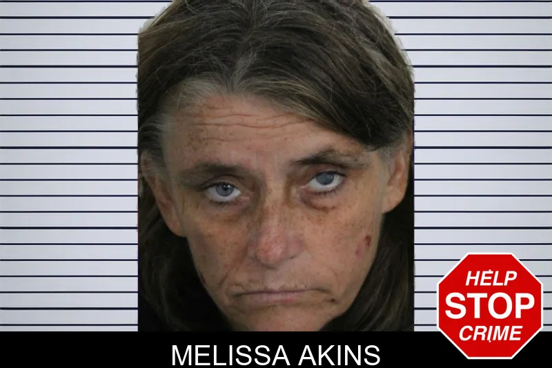Melissa Akins mugshot – Floyd County , Georgia Melissa Akins mugshot