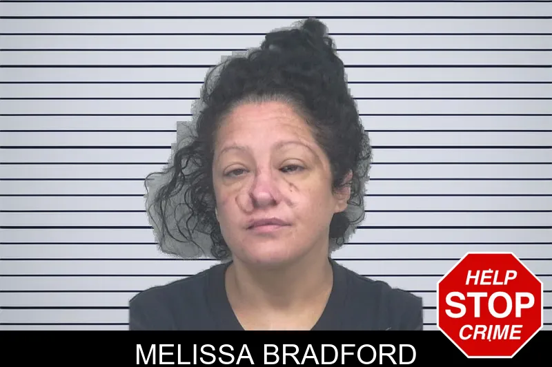 Melissa Bradford mugshot – Gwinnett County , Georgia Melissa Bradford mugshot