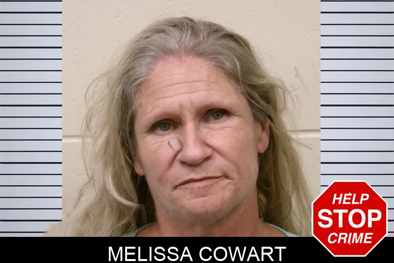 Melissa Cowart mugshot – Bulloch County , Georgia Melissa Cowart mugshot