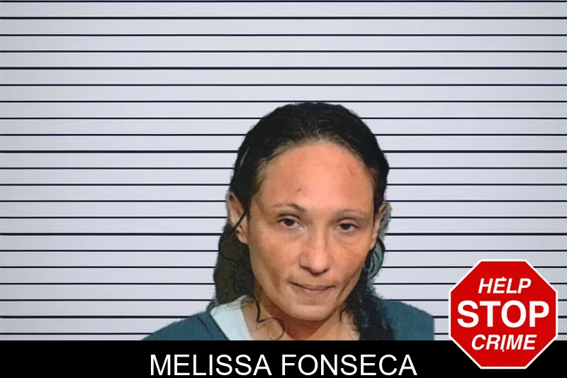 Melissa Fonseca mugshot – Glynn County , Georgia Melissa Fonseca mugshot