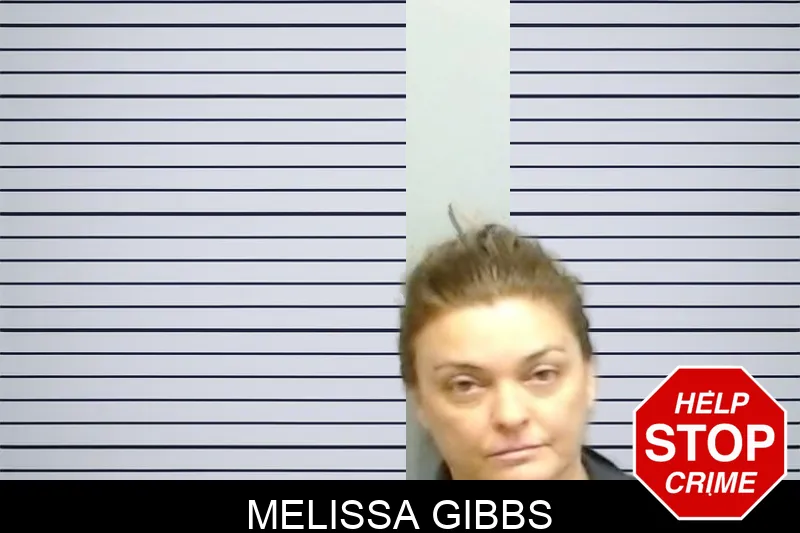 Melissa Gibbs mugshot – Fulton County , Georgia Melissa Gibbs mugshot