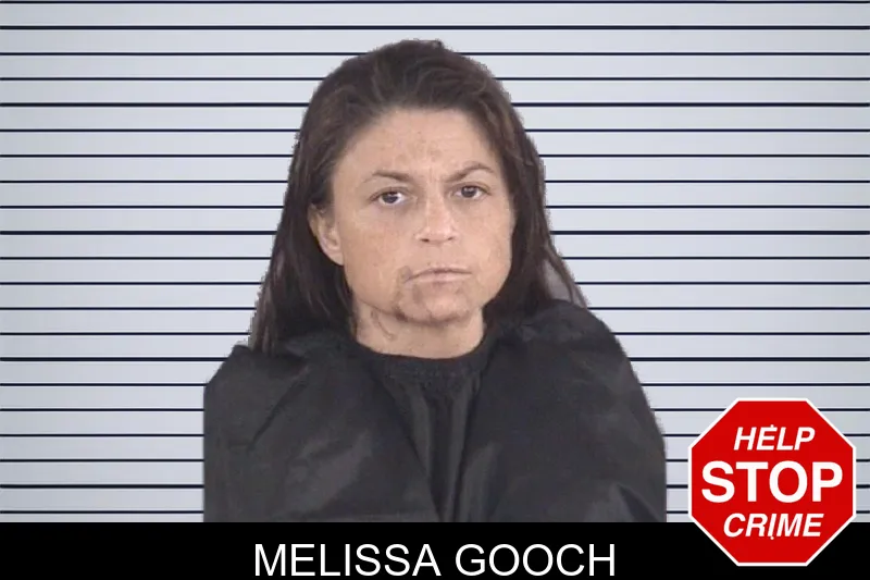 Melissa Gooch mugshot – Spalding County , Georgia Melissa Gooch mugshot