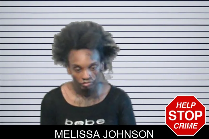 Melissa Johnson mugshot – DeKalb County , Georgia Melissa Johnson mugshot