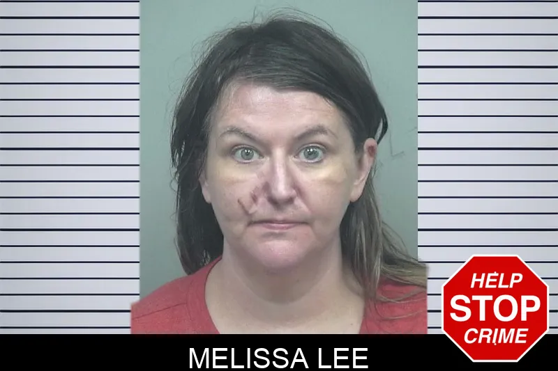 Melissa Lee mugshot – Gwinnett County , Georgia Melissa Lee mugshot