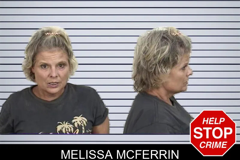 Melissa McFerrin mugshot