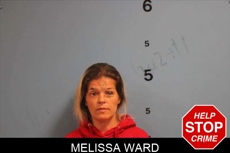 Melissa Ward mugshot – Monroe County , Georgia Melissa Ward mugshot