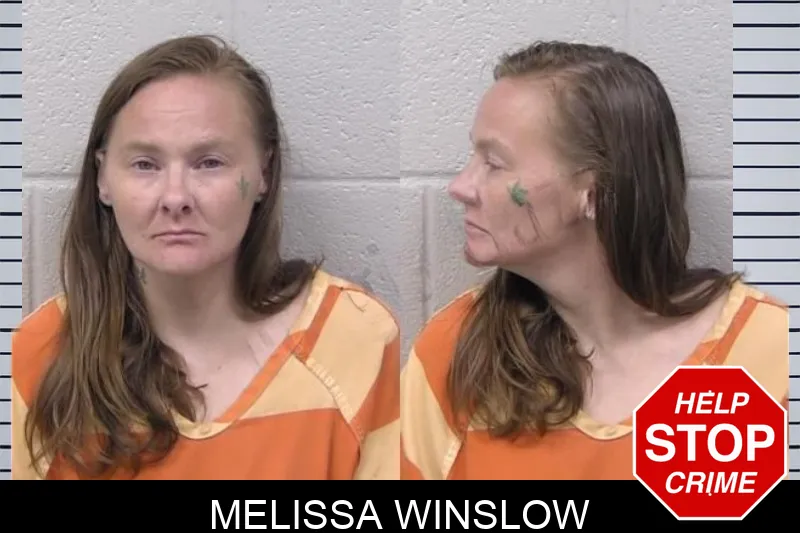 Melissa Winslow mugshot – Paulding County , Georgia Melissa Winslow mugshot