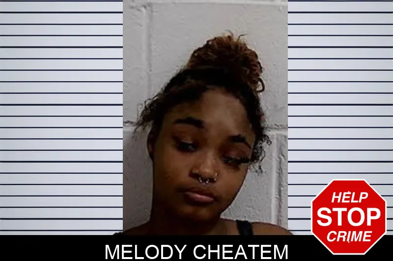 Melody Cheatem mugshot – Decatur County , Georgia Melody Cheatem mugshot
